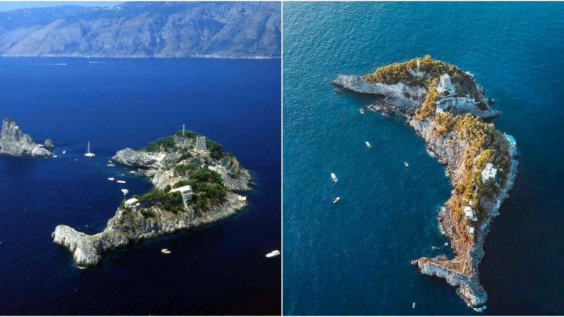 Dolphin Haven: A Mesmerizing Island Retreat Along Italy’s Enchanting Amalfi Coast