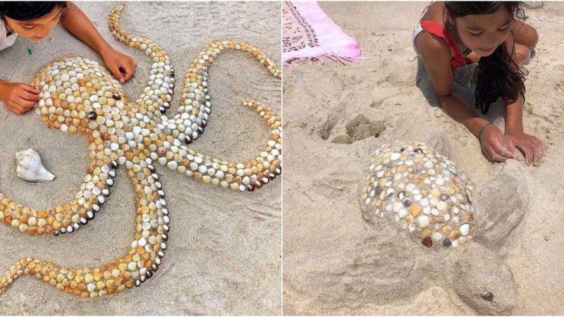 Coastal Artistry Unleashed: Crafting Exquisite Sea Creatures from Seashells