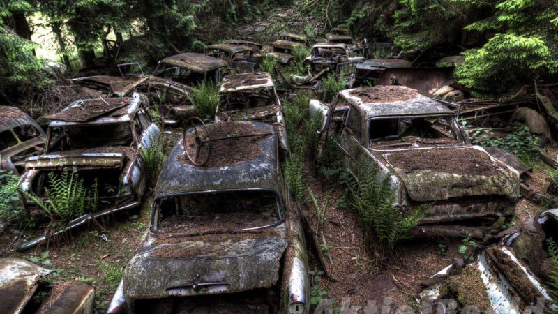 MYSTERY: A CAR CEMETERY IN THE MIDDLE BELGIAN FOREST