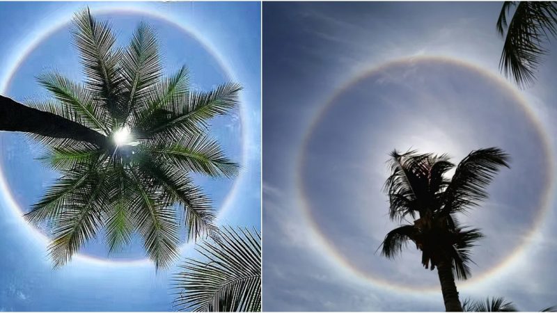 Witnessing the Spectacular Phenomenon: Full 360 Rainbow Around Midday Sun in Tanzania