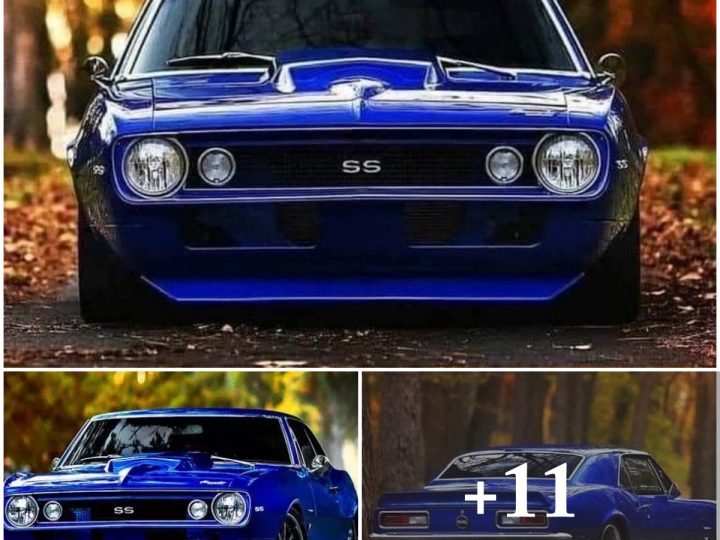 A Timeless Classic: The 1967 Chevrolet Camaro SS Blue