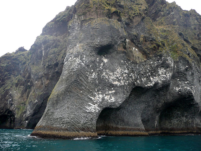 Giant Sea Elephant Emerges From the Ocean in Iceland 🐘🐘